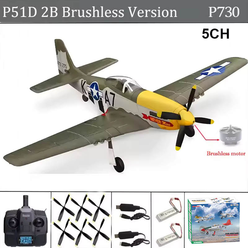 RC Plane 5CH 3D/6G Fixed-wing  - Rc Hobby Grade Helicopter 리뷰 및 가격